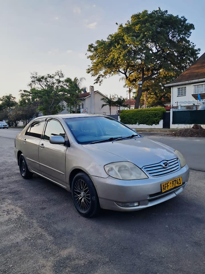 toyota corolla bubble