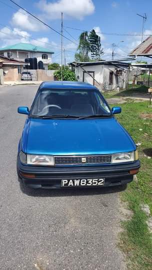 Old M.