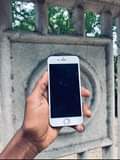 A picture of iphone 6 plain