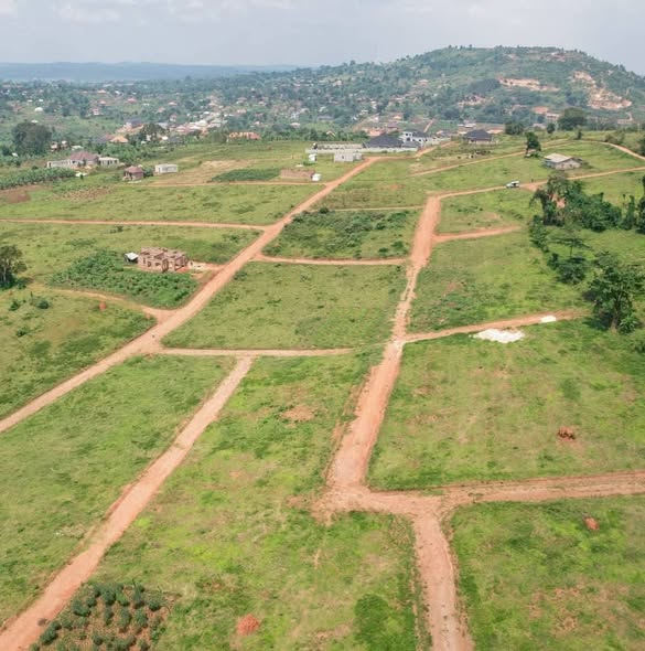 A picture of plots for sale