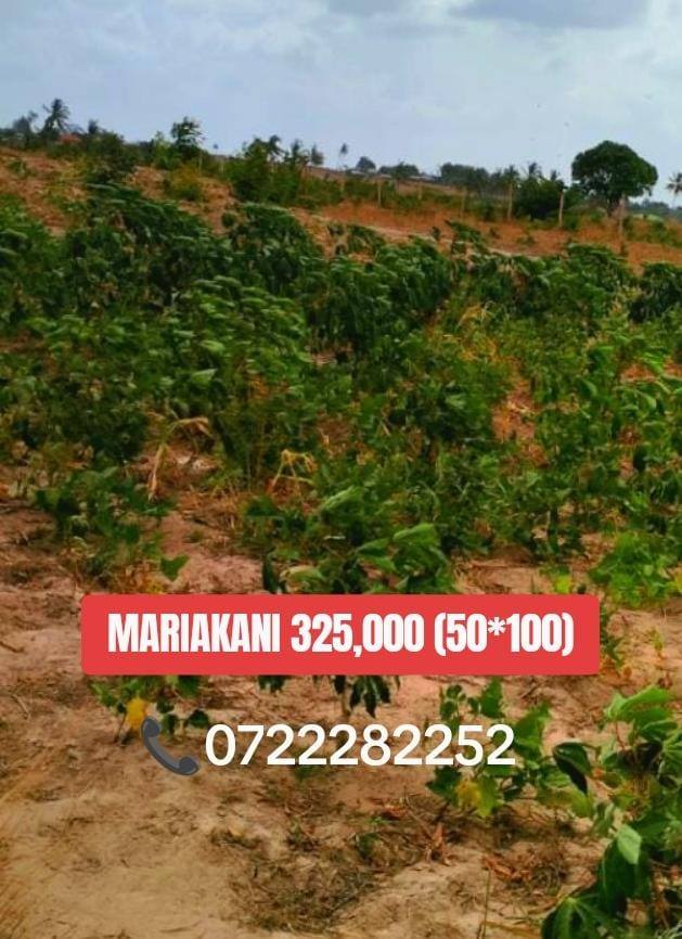 kilifi plots