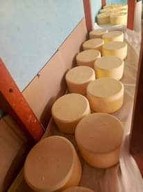 A picture of Cheese