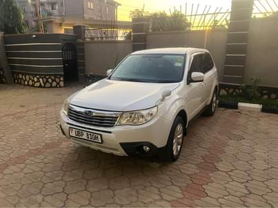 A picture of Subaru Forester