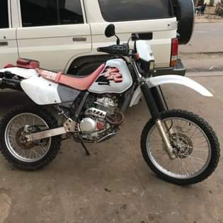 A picture of XR 250