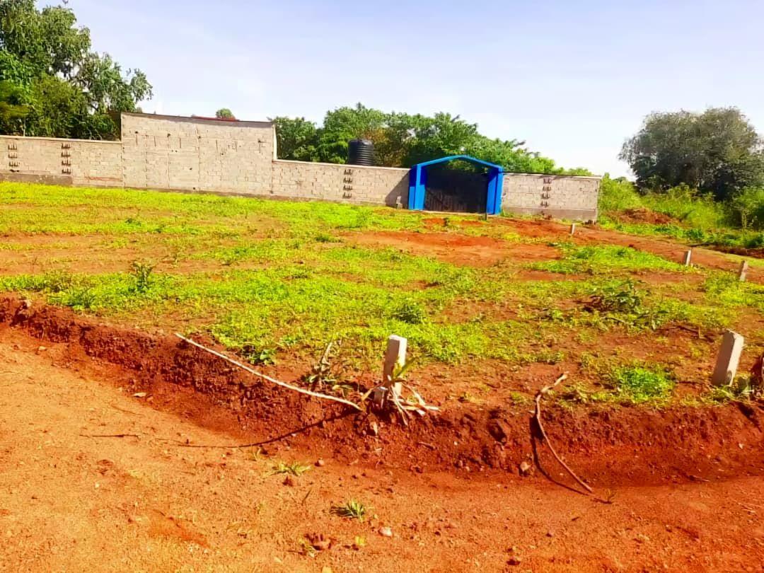 A picture of PLOT