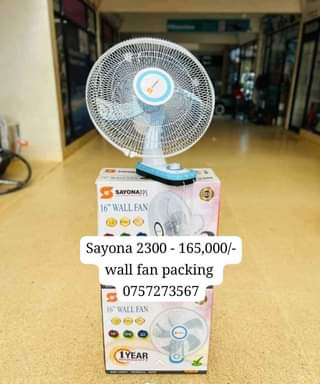 A picture of Fan
