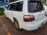 A picture of Forester
