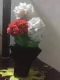 A picture of Flower pots na maua yake