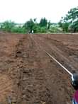 A picture of Majigye Ugachick plots for sale