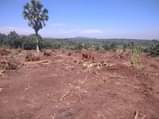 A picture of BRAND NEW SITE OPEN IN MATUGGA SANGA NAKUKUBA TOWN Suitable