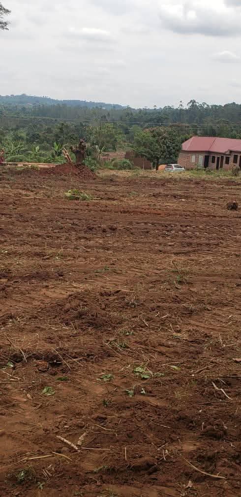 A picture of Commercial and residential plots for sale