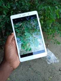A picture of TABLAT A8 4G