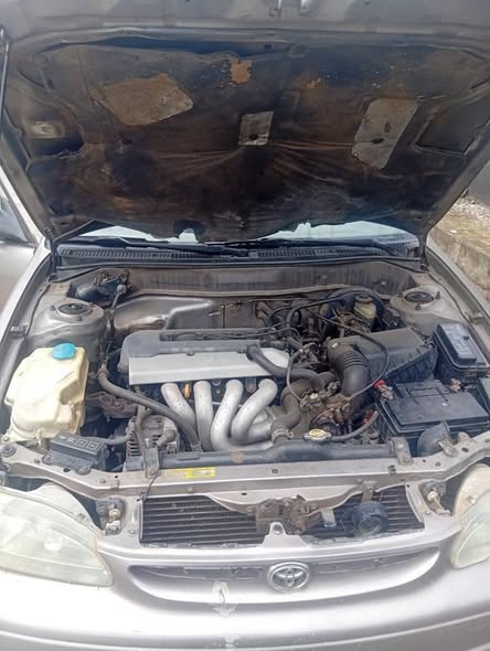 A picture of Toyota Corolla okerejowol