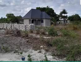 A picture of 951 37 Https wa link