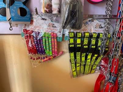 A picture of Pet travel documents and accessories