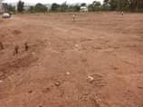 A picture of Gayaza Busukuma town plots on quick sale