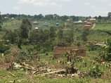 A picture of New site located at matugga gombe 1 7km off main