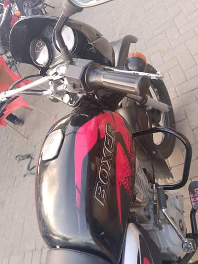 A picture of Boxer 125x