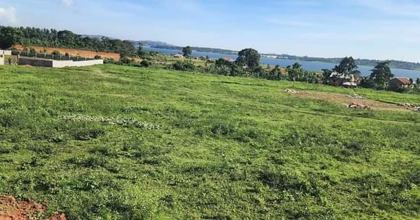 A picture of Two great plots for sale in akright city en Lubowa