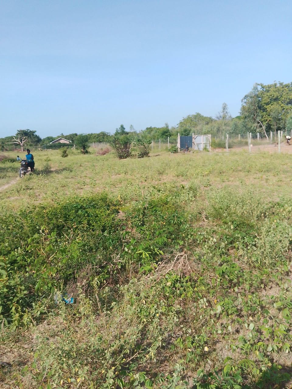 A picture of Plots
