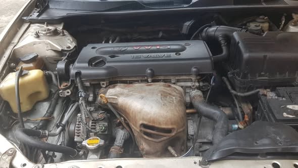 A picture of Camry Big Daddy
