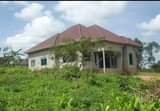 A picture of Shell house on quick sale