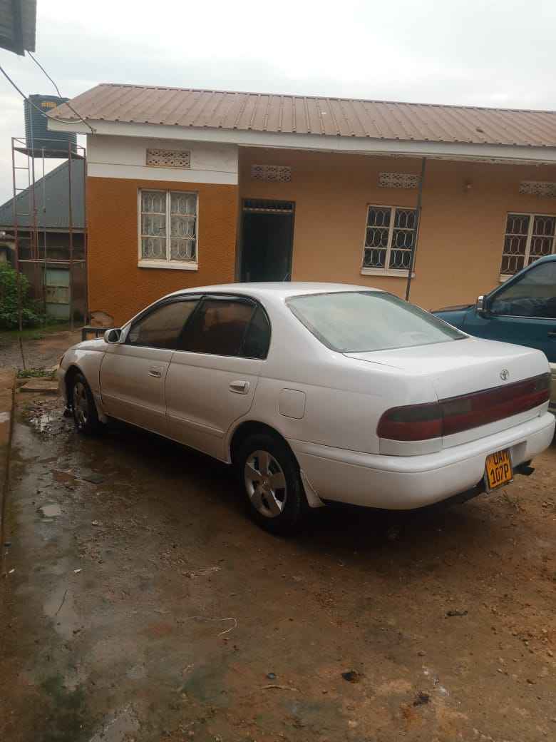 toyota corona