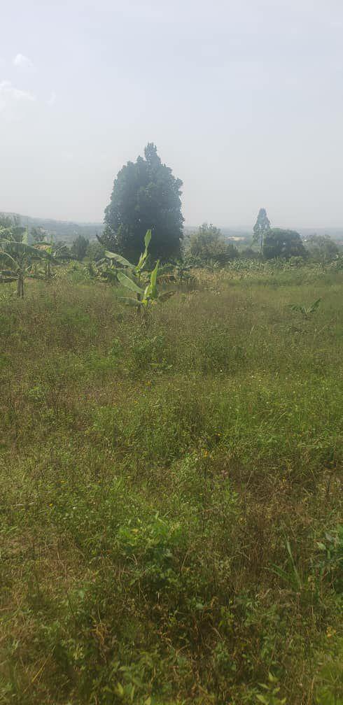 A picture of Land