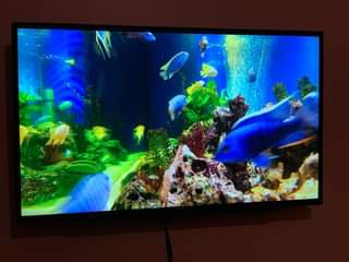 A picture of Tv OULING NCH 43 SMART TV SAMSUNG INH 43 LED