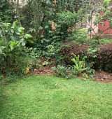 A picture of Land at Buziga for sale at 300M