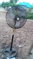 A picture of Feni ya Aniko