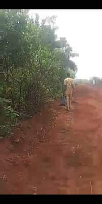 A picture of Land
