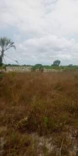 A picture of Viwanja