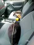 A picture of 2004 Toyota RAV4 very neat in and out Everything is