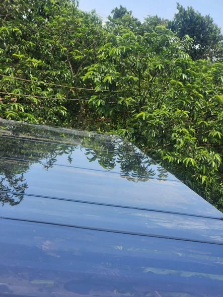 A picture of Glass roofing experts