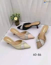 A picture of Female shoe