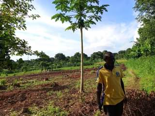 A picture of MATUGGA KIWEEBWA MANZE SITE 2567 Plot size 20by25ft 1m Plot
