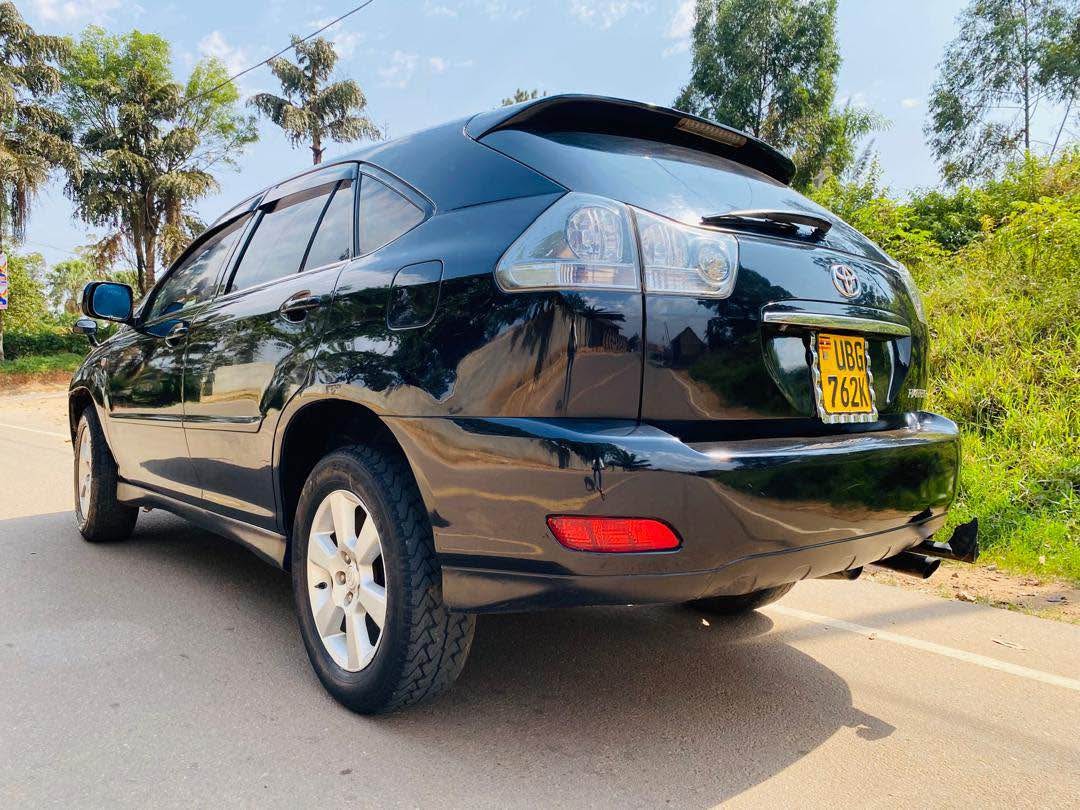 A picture of Harrier kawundo