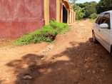 A picture of Nansana kyebando on tamac