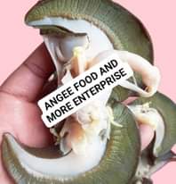 A picture of We will be drying 200 pieces of snails next tomorrow