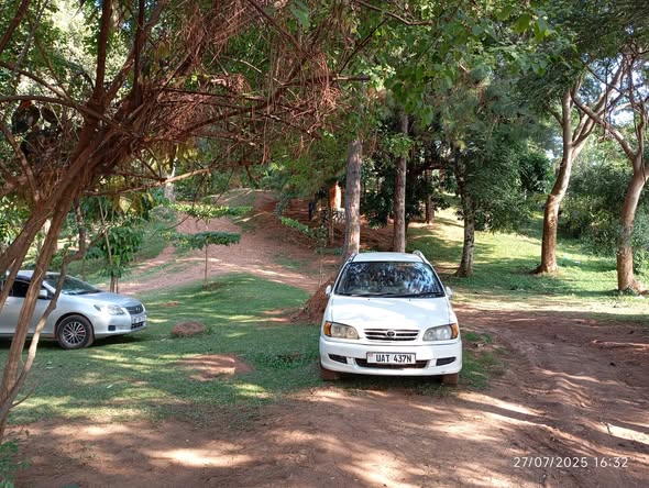 A picture of Toyota Ipsum super