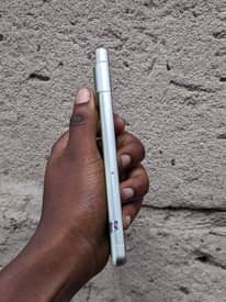 A picture of Pixel 7