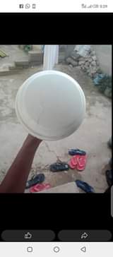 fans