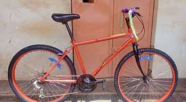 A picture of SPORTS BIKE