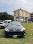 A picture of Peugeot 407 1 7million owner