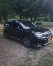 A picture of forester xt