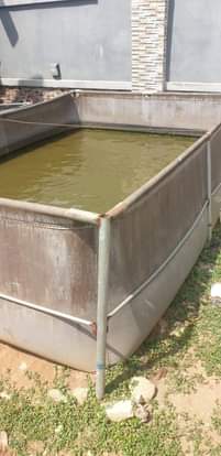 A picture of Fish pond tarm 10 x 10 8 x 10 10