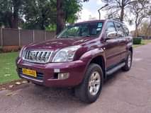 diesel engine vehicles