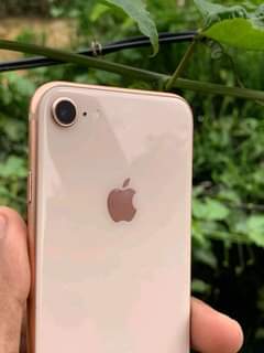 iphone 8