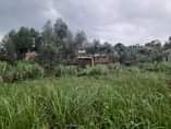 A picture of AM SELLING MY PLOT AT KASEGEJJE WAKISO AT 3M ONLY